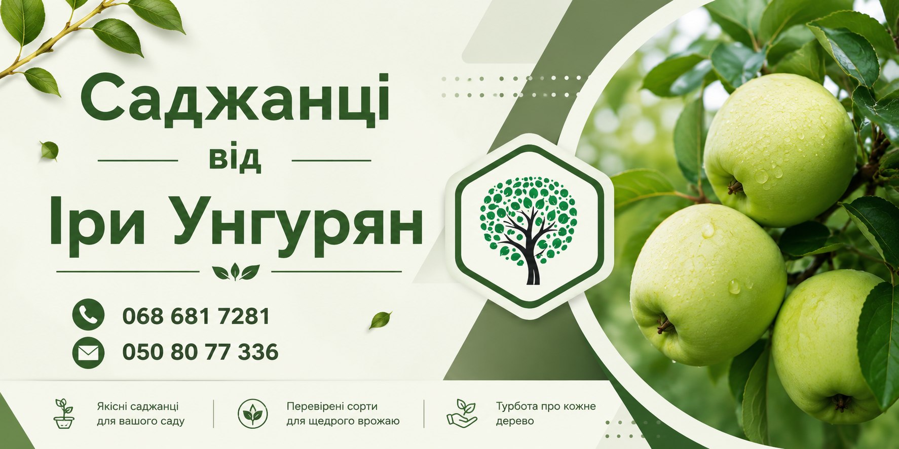 Саджанці від Іри Унгурян  — Банер 1